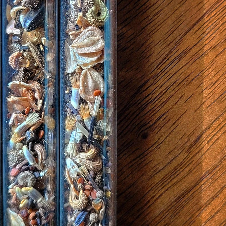 Long-stemmed Wildflower Seed Vial picture