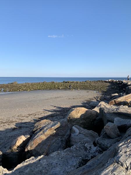 Connecticut Shoreline picture