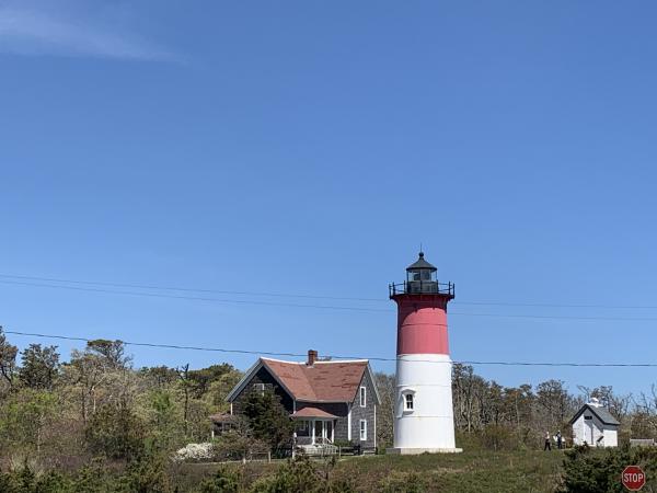 Cape Cod picture