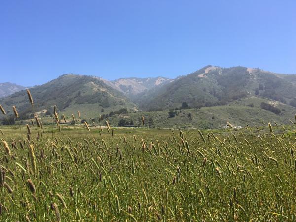 Yosemite Valley picture