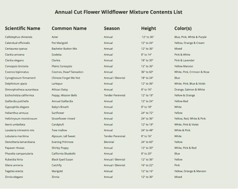 Long-stemmed Wildflower Seed Vial picture