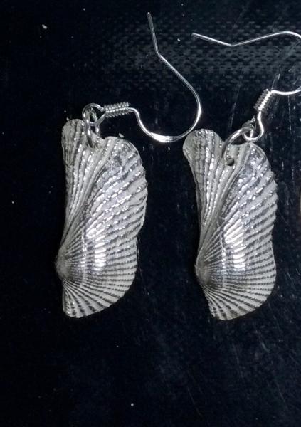 Fine Silver Turkey Wing Shell earrings