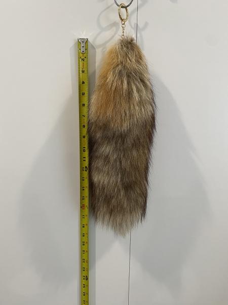 Tail 4