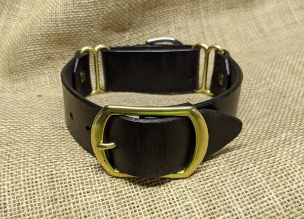 1 1/2 inch leather martingale collar picture