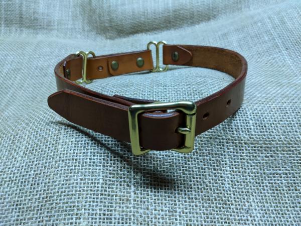 1 inch leather martingale collar picture