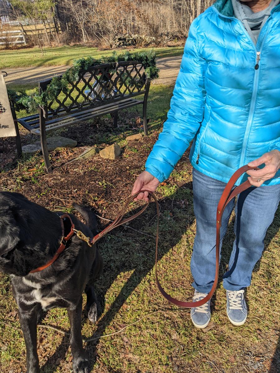 Double Handle Dog Leash, 5/8, 3/4 and 1 inch widths picture