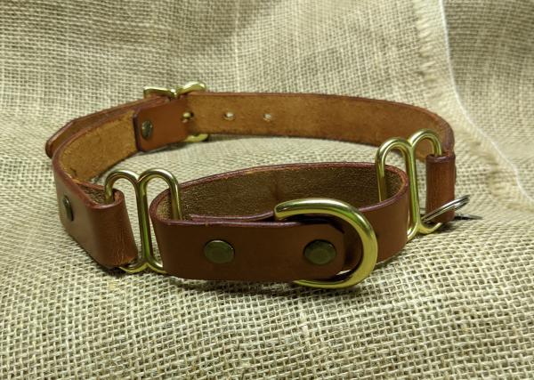 1 inch leather martingale collar