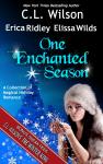 One Enchanted Season