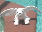Tairen Plushy: Steli-Chakai