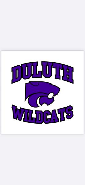 Duluth Youth Baseball & Softball Association (DYBSA)