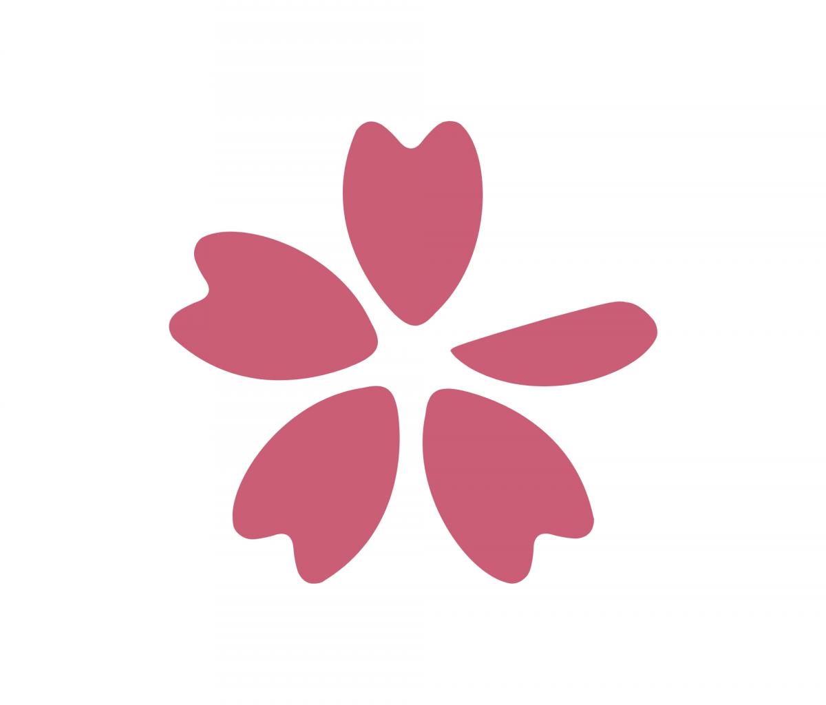  User Profile