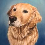 Pet Portraits by Joe Brewer