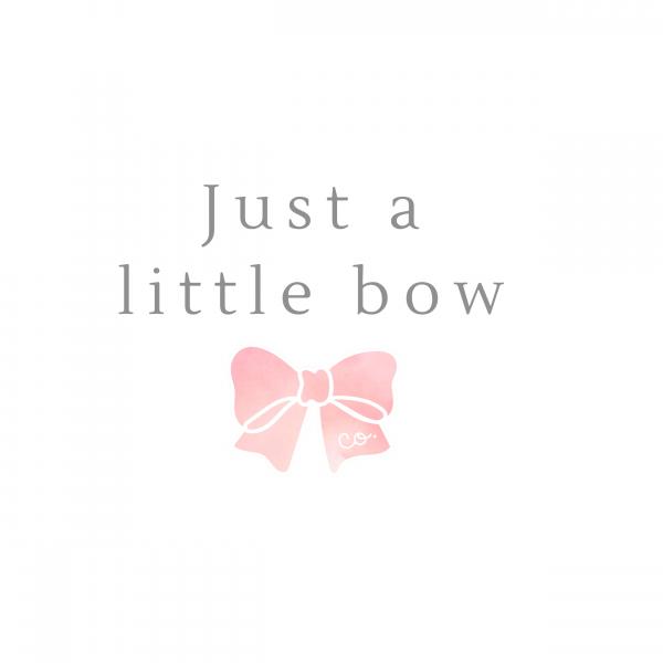 Just a Little Bow Co
