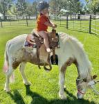 Rigby Unicorn and Pony Rides