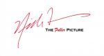 The Fuller Picture