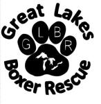 Great Lakes Boxer Rescue