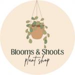 Blooms and Shoots Plants