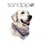 Sandpiper Pets