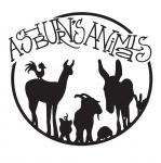 Ashburns Animals