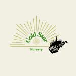 GOLD STAR NURSERY