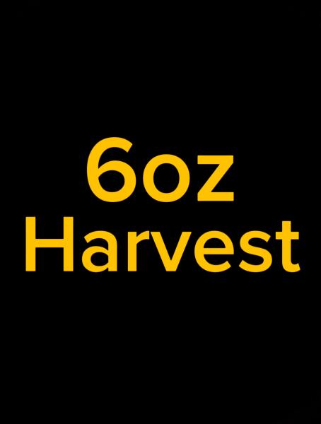 6oz Harvest picture