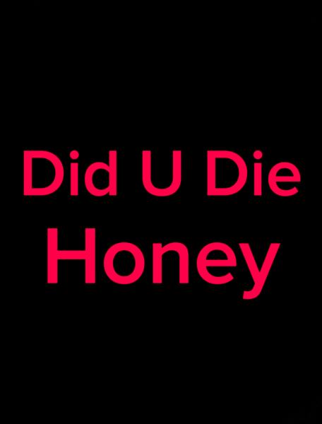Did You Die Honey 750ml picture