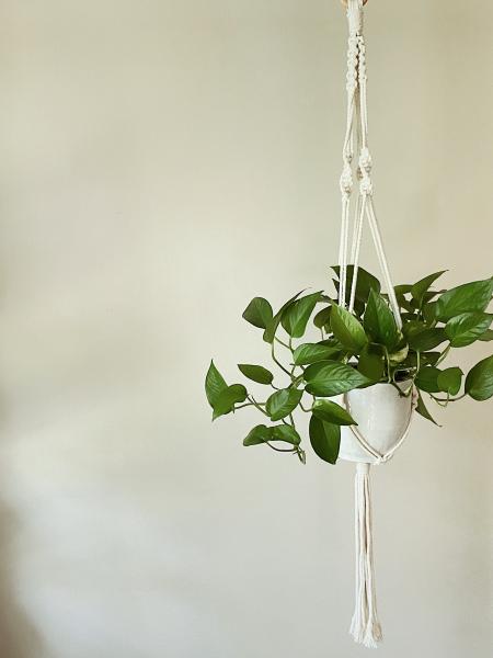 Short White + Long White + Brown - Hanging Plant Holder - Air plant Hanger - Macrame Lanyard - Macrame Pant Holder - Macrame Tassels picture