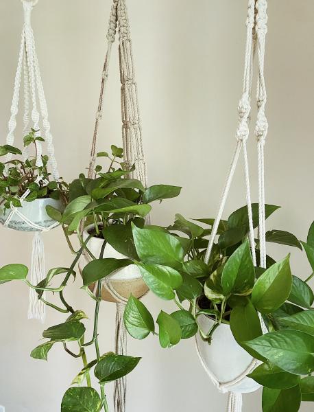 Short White + Long White + Brown - Hanging Plant Holder - Air plant Hanger - Macrame Lanyard - Macrame Pant Holder - Macrame Tassels picture