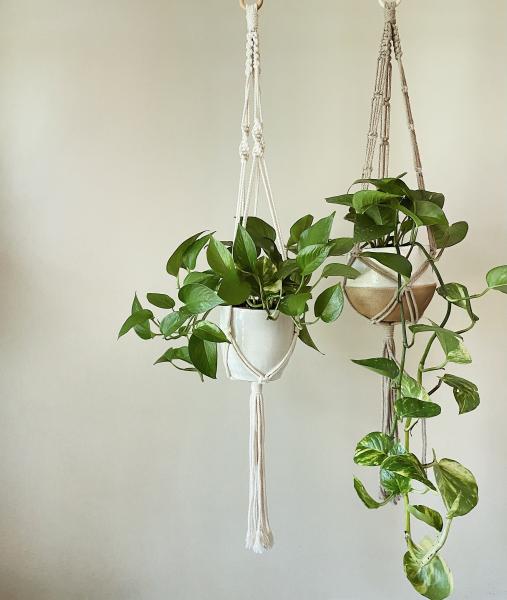 Long Brown + White Hangers - Hanging Plant Holder - Air plant Hanger - Macrame Lanyard - Macrame Pant Holder - Macrame Tassels picture