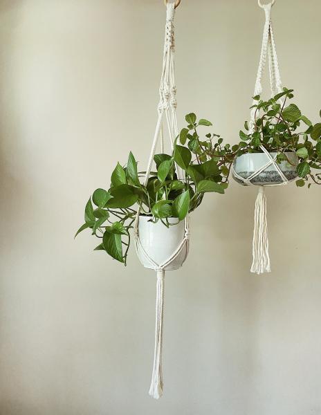 Short White + Long White - Hanging Plant Holder - Air plant Hanger - Macrame Lanyard - Macrame Pant Holder - Macrame Tassels picture