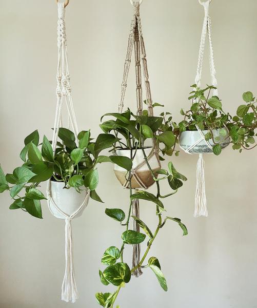 Short White + Long White + Brown - Hanging Plant Holder - Air plant Hanger - Macrame Lanyard - Macrame Pant Holder - Macrame Tassels picture