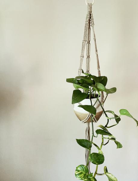 Short White + Long White + Brown - Hanging Plant Holder - Air plant Hanger - Macrame Lanyard - Macrame Pant Holder - Macrame Tassels picture