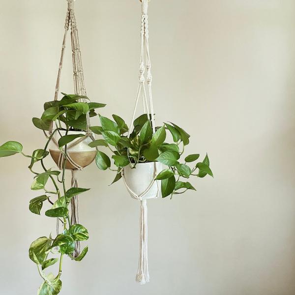 Long Brown + White Hangers - Hanging Plant Holder - Air plant Hanger - Macrame Lanyard - Macrame Pant Holder - Macrame Tassels picture