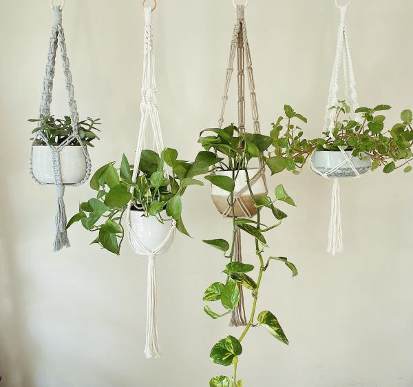 Short White + Gray Long White + Brown - Hanging Plant Holder - Air plant Hanger - Macrame Lanyard - Macrame Pant Holder - Macrame Tassels picture