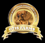 Top Shelf Jerky, by Otis Farms