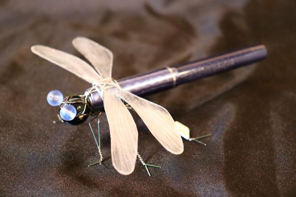 Dragonfly Pen picture