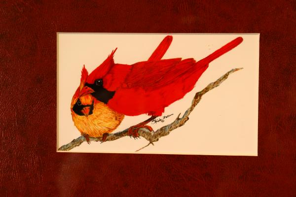 Pair of Cardinals picture