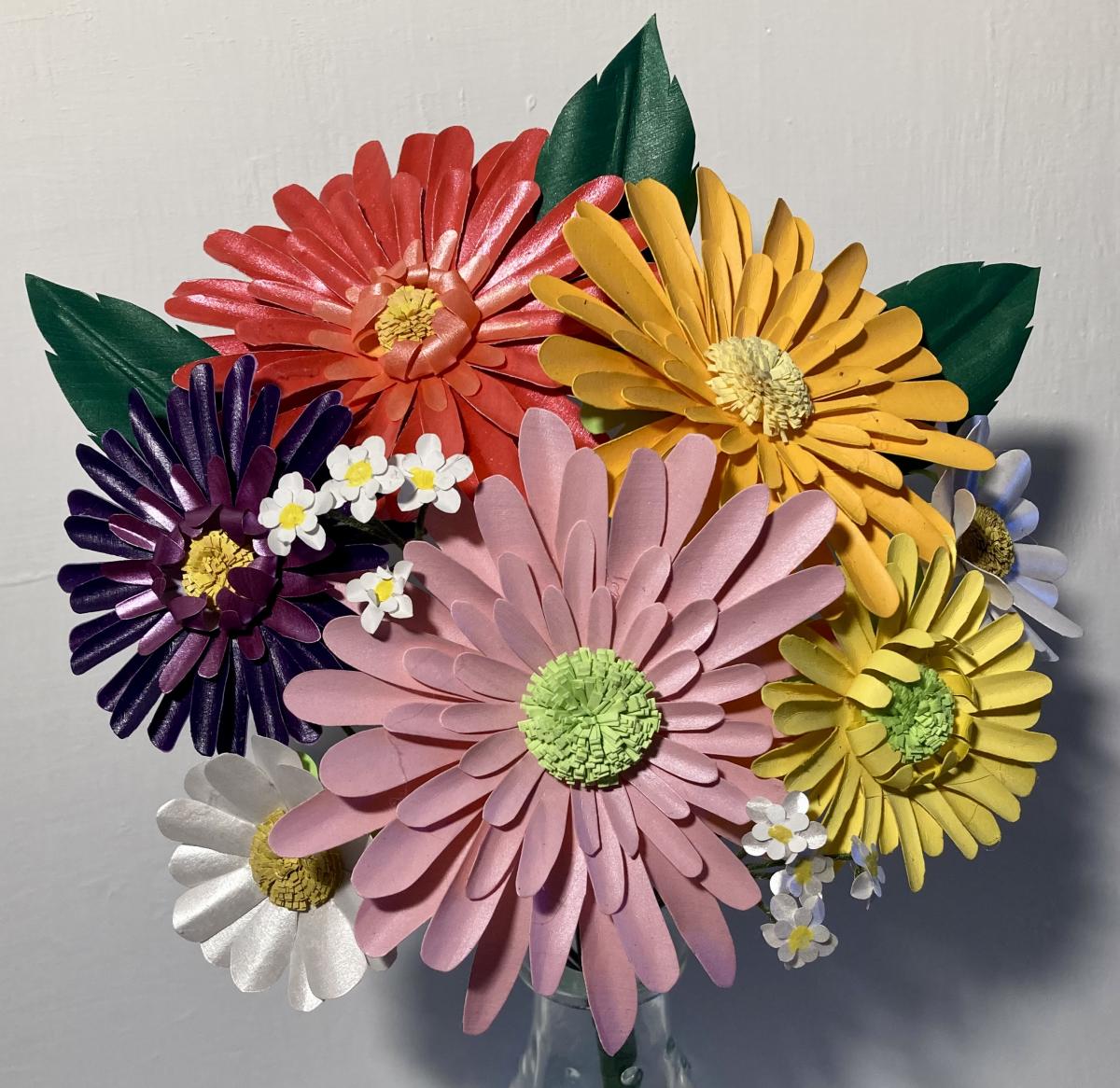 Paper Daisies picture