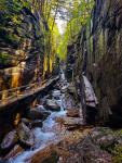 Flume Gorge New Hampshire Metal Print