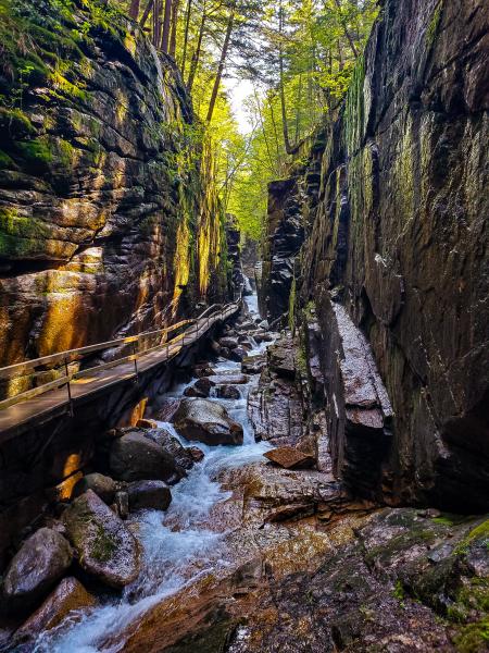 Flume Gorge New Hampshire Metal Print picture