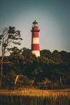 Assateague Lighthouse Lustre Print