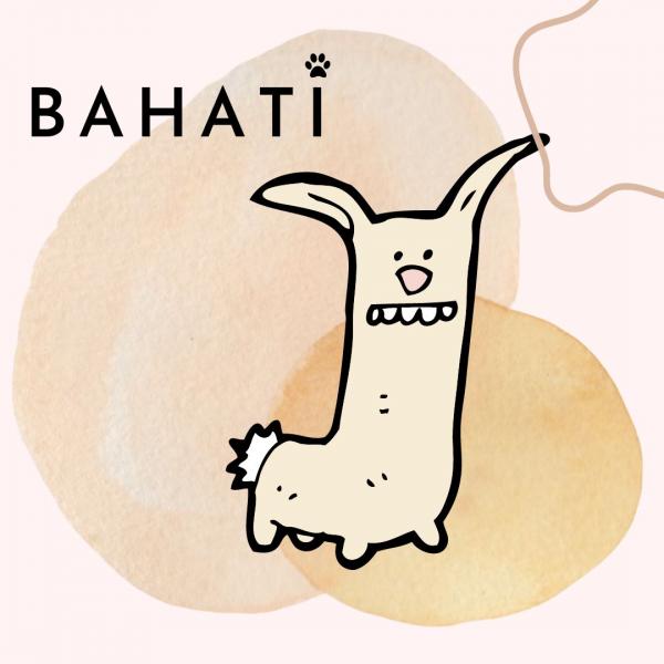 Bahati Pets