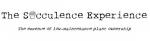 The Succulence Experience