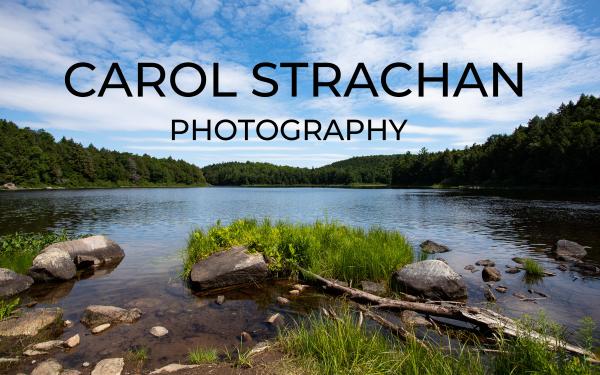Carol Strachan Photography