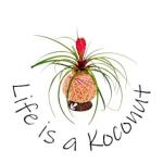 Life is a Koconut