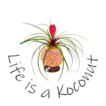 Life is a Koconut