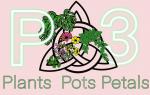 P3-Plants, Pots & Petals