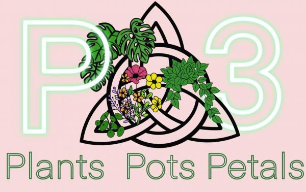 P3-Plants, Pots & Petals