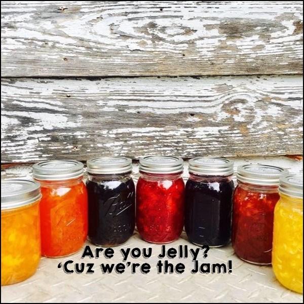 JAMS/JELLIES/FRUIT BUTTER/PRESERVES picture
