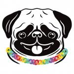Proud Pug Creations